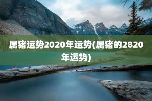 属猪运势2020年运势(属猪的2820年运势)