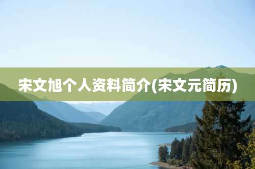 宋文旭个人资料简介(宋文元简历)