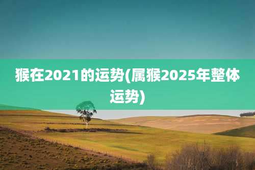 猴在2021的运势(属猴2025年整体运势)