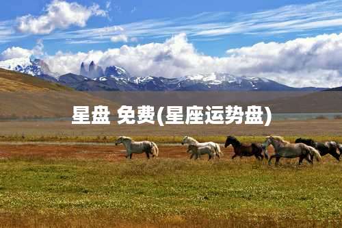 星盘 免费(星座运势盘)