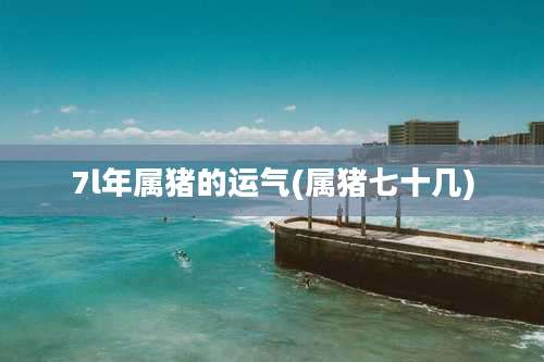 7l年属猪的运气(属猪七十几)