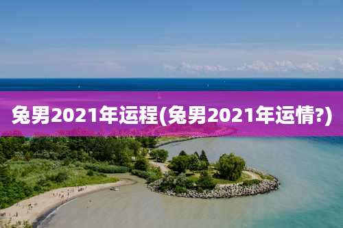 兔男2021年运程(兔男2021年运情?)