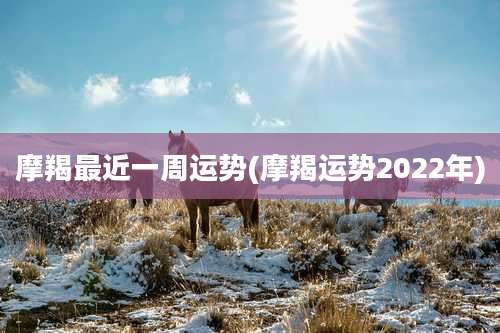 摩羯最近一周运势(摩羯运势2022年)