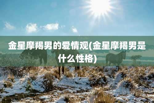 金星摩羯男的爱情观(金星摩羯男是什么性格)