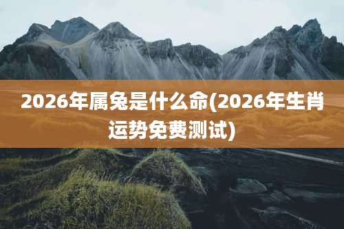 2026年属兔是什么命(2026年生肖运势免费测试)