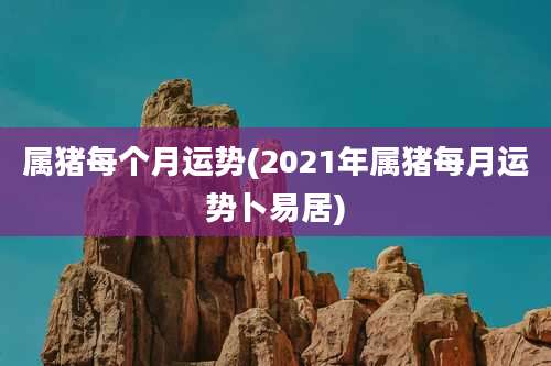 属猪每个月运势(2021年属猪每月运势卜易居)
