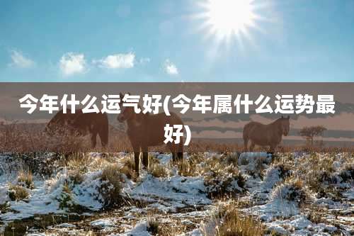 今年什么运气好(今年属什么运势最好)