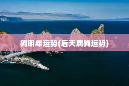 狗明年运势(后天属狗运势)