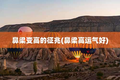 鼻梁变高的征兆(鼻梁高运气好)