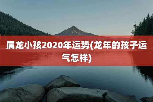 属龙小孩2020年运势(龙年的孩子运气怎样)