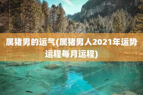属猪男的运气(属猪男人2021年运势运程每月运程)