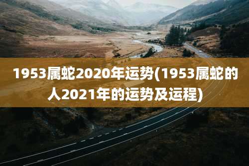 1953属蛇2020年运势(1953属蛇的人2021年的运势及运程)