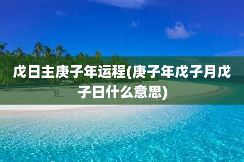 戊日主庚子年运程(庚子年戊子月戊子日什么意思)