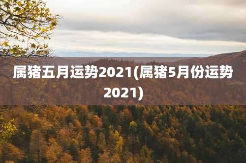 属猪五月运势2021(属猪5月份运势2021)
