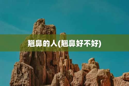 翘鼻的人(翘鼻好不好)