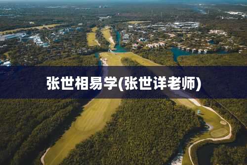 张世相易学(张世详老师)