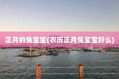 正月的兔宝宝(农历正月兔宝宝好么)