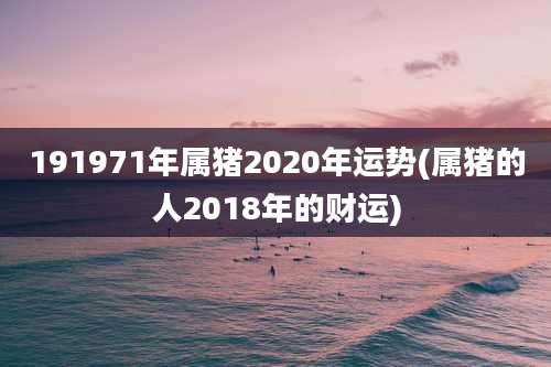 191971年属猪2020年运势(属猪的人2018年的财运)