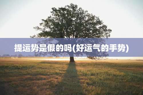 提运势是假的吗(好运气的手势)