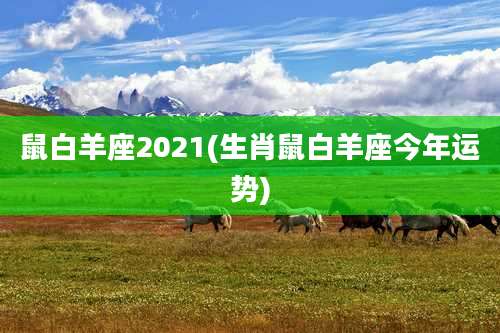 鼠白羊座2021(生肖鼠白羊座今年运势)