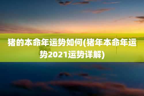 猪的本命年运势如何(猪年本命年运势2021运势详解)