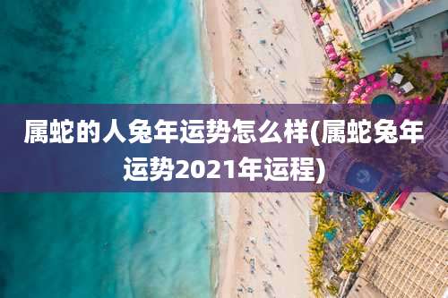 属蛇的人兔年运势怎么样(属蛇兔年运势2021年运程)
