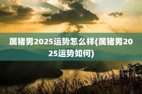 属猪男2025运势怎么样(属猪男2025运势如何)