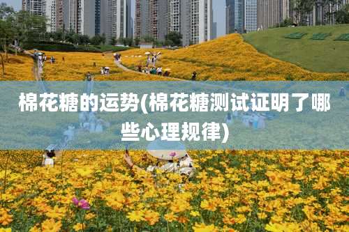 棉花糖的运势(棉花糖测试证明了哪些心理规律)