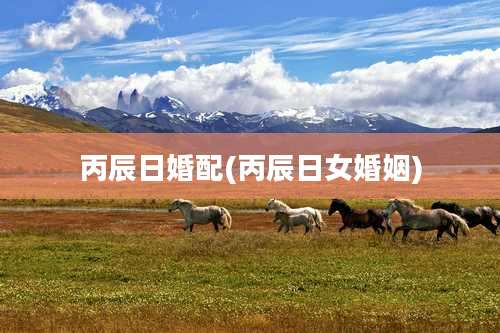 丙辰日婚配(丙辰日女婚姻)