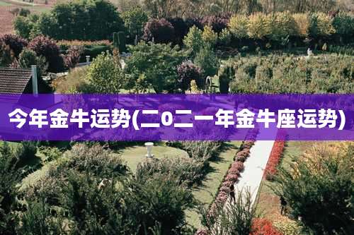 今年金牛运势(二0二一年金牛座运势)