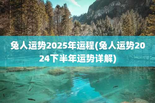 兔人运势2025年运程(兔人运势2024下半年运势详解)
