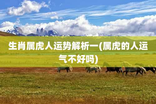 生肖属虎人运势解析一(属虎的人运气不好吗)