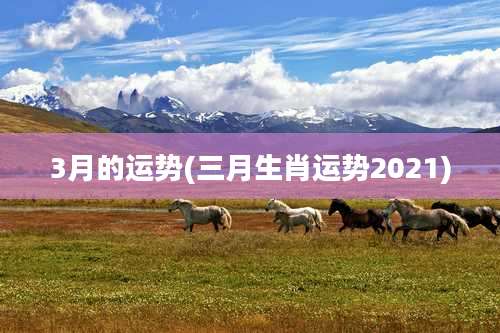 3月的运势(三月生肖运势2021)
