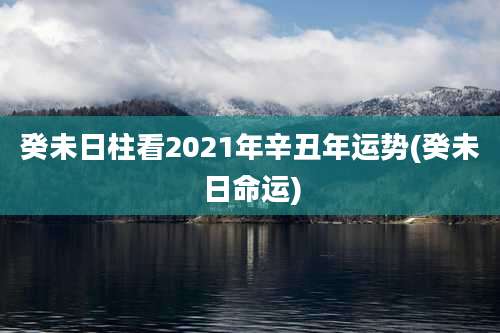 癸未日柱看2021年辛丑年运势(癸未日命运)