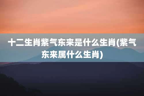 十二生肖紫气东来是什么生肖(紫气东来属什么生肖)