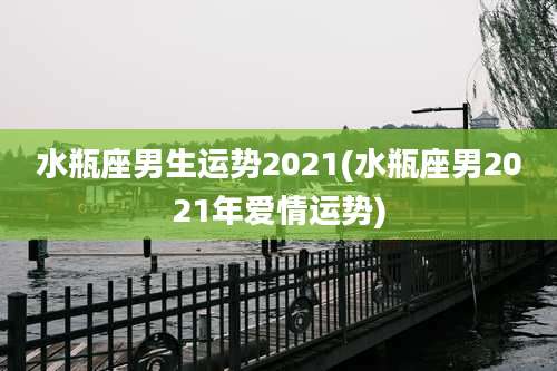 水瓶座男生运势2021(水瓶座男2021年爱情运势)
