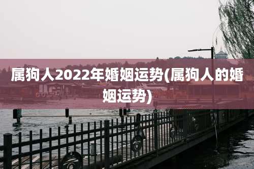 属狗人2022年婚姻运势(属狗人的婚姻运势)