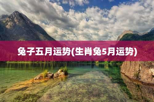 兔子五月运势(生肖兔5月运势)