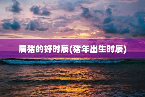 属猪的好时辰(猪年出生时辰)