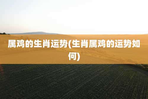 属鸡的生肖运势(生肖属鸡的运势如何)