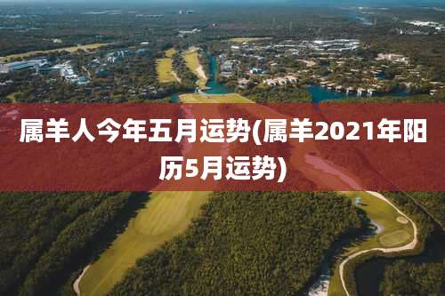 属羊人今年五月运势(属羊2021年阳历5月运势)