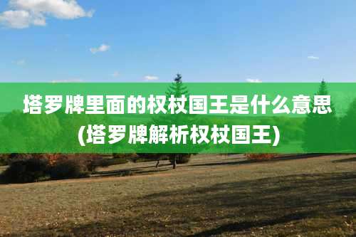 塔罗牌里面的权杖国王是什么意思(塔罗牌解析权杖国王)