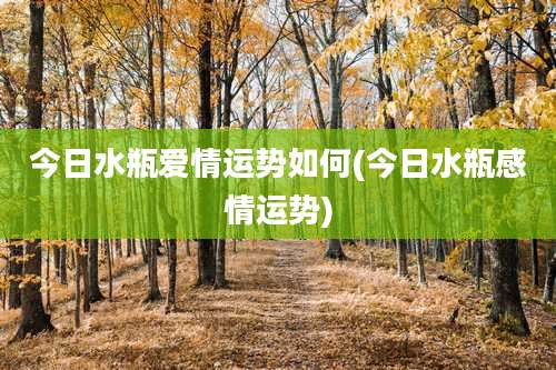 今日水瓶爱情运势如何(今日水瓶感情运势)