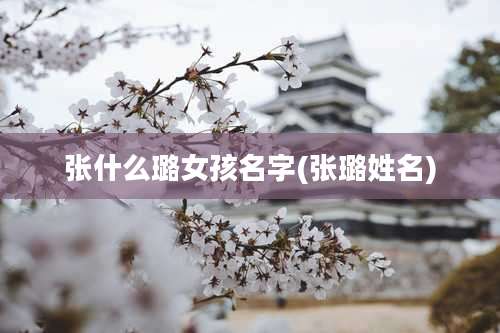 张什么璐女孩名字(张璐姓名)
