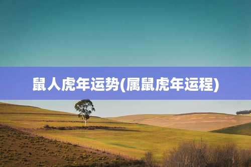鼠人虎年运势(属鼠虎年运程)