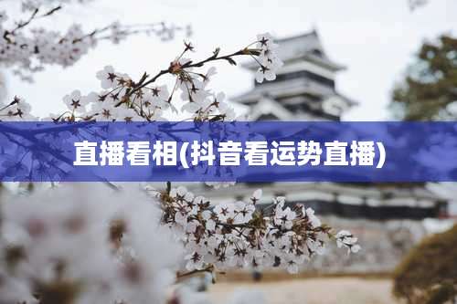 直播看相(抖音看运势直播)