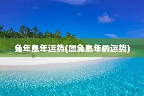 兔年鼠年运势(属兔鼠年的运势)