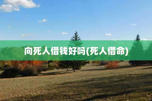 向死人借钱好吗(死人借命)
