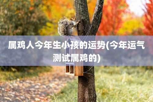 属鸡人今年生小孩的运势(今年运气测试属鸡的)