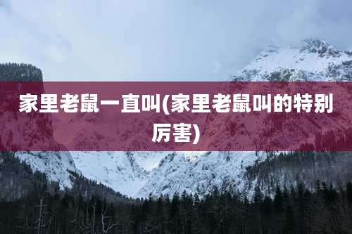 家里老鼠一直叫(家里老鼠叫的特别厉害)
